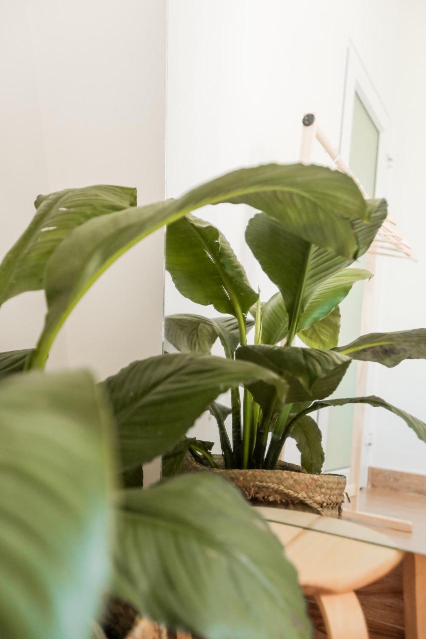Apartament Bisou De La Riviere Hoi An Zewnętrze zdjęcie